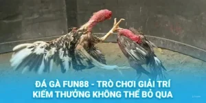 Đá Gà Fun88